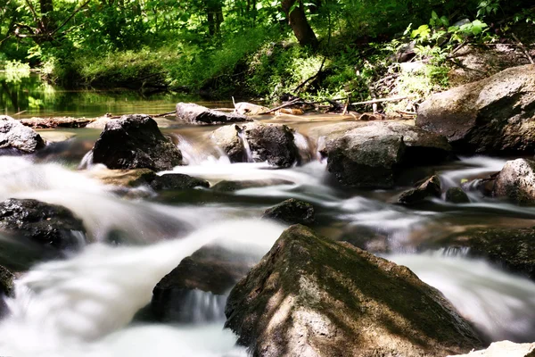 Creek with rocks in a forest — Stock Photo, Image