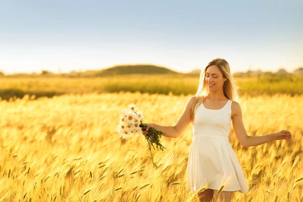 Beautiful woman in field — Stock Photo, Image