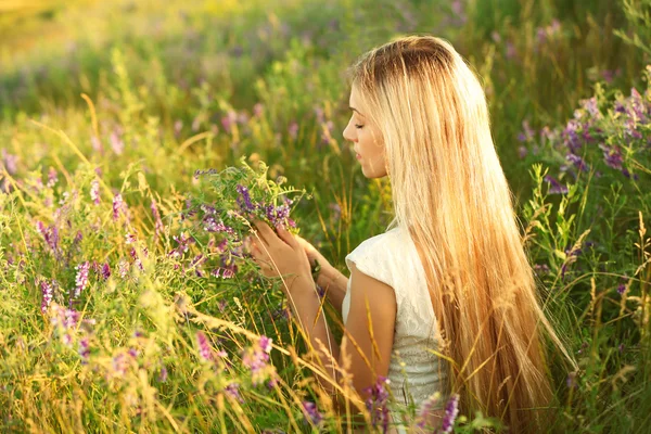 Mooie vrouw in veld — Stockfoto