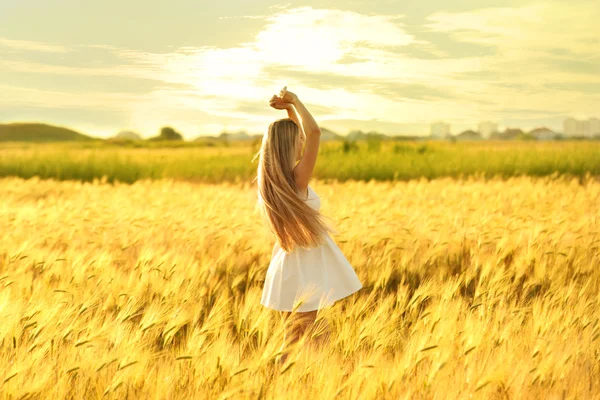 Mooie vrouw in veld — Stockfoto