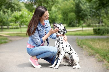 Owner with dalmatian dog  clipart