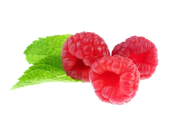 Fresh ripe raspberries — Stock Photo, Image