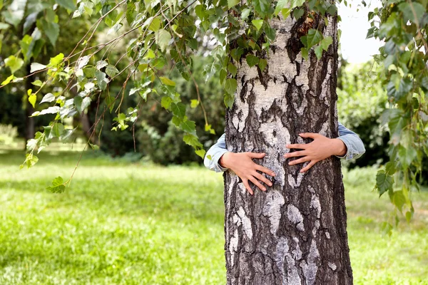 Donna che abbraccia un albero — Foto Stock