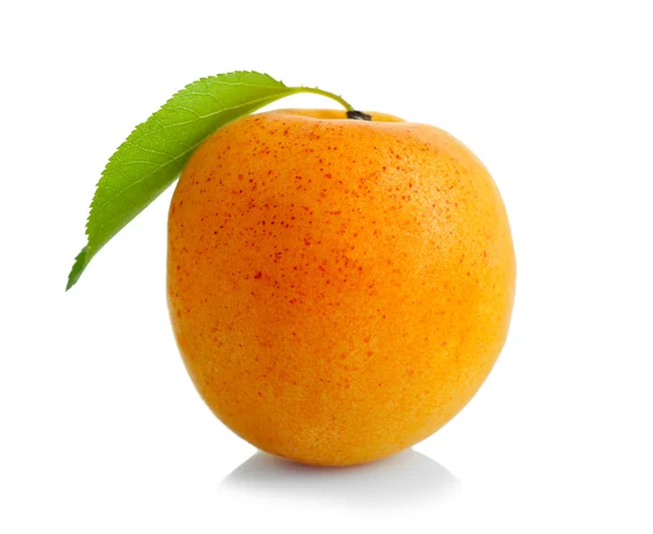 Свежий спелый абрикос — стоковое фото