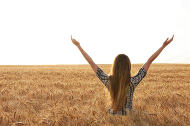 Kadının güzelliği buğday alanı