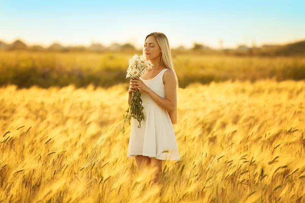 Mooie vrouw in veld — Stockfoto