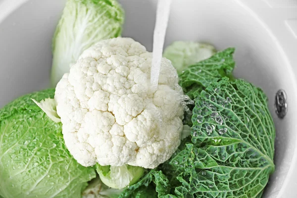 Various cabbages washing — Stock Photo, Image