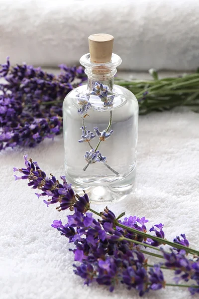 Parfum met lavendel op handdoek — Stockfoto