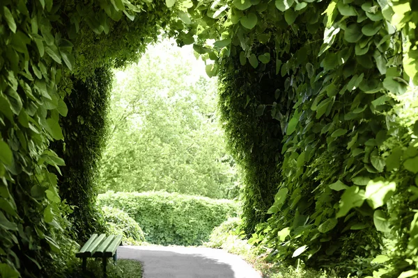 Arc vert dans le jardin botanique — Photo