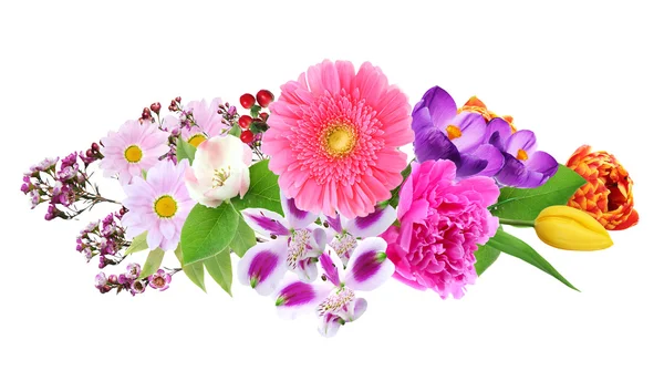 Schöne Blumen Collage — Stockfoto