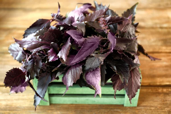 Red basil in crate — Stock Photo, Image