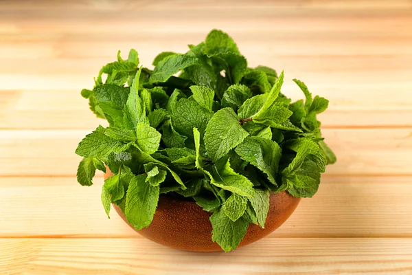 Bunch of green mint — Stock Photo, Image