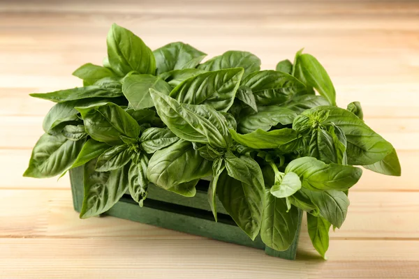 Bunch of fresh basil — Stock Photo, Image