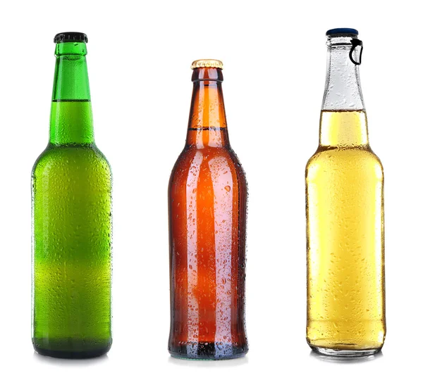 瓶不同的啤酒 — 图库照片