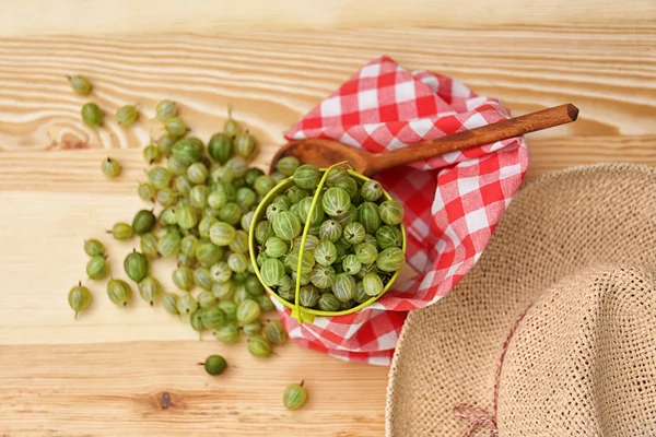 Secchiello con uva spina — Foto Stock