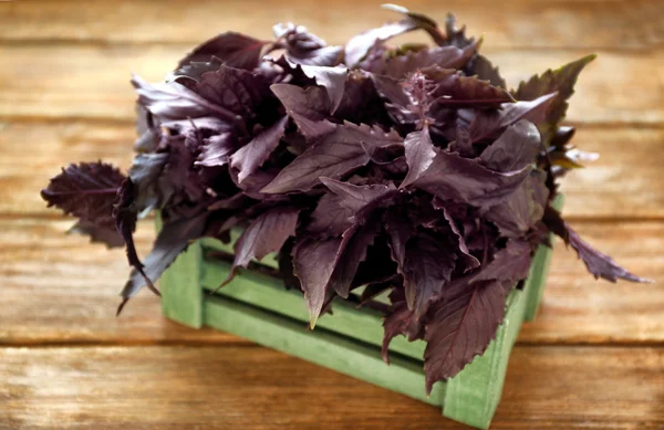 Red basil in crate — Stock Photo, Image