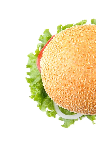 Duży smaczny hamburger — Zdjęcie stockowe