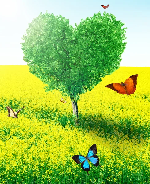 Srdce tvar strom a motýli — Stock fotografie