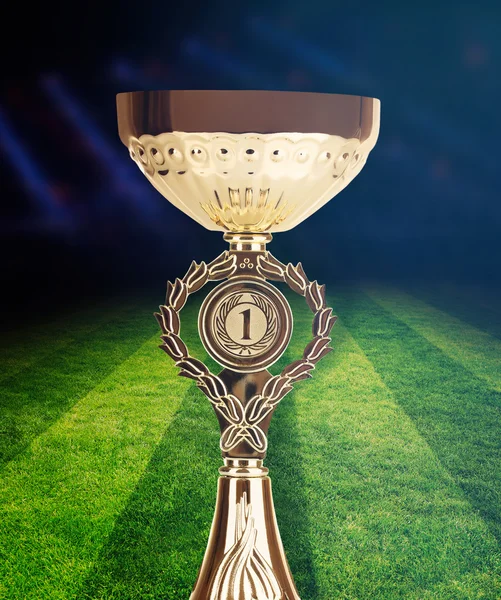 Trófea kupa labdarúgó pályán — Stock Fotó