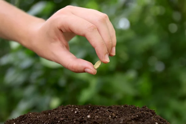 Vrouw hand met zaad — Stockfoto