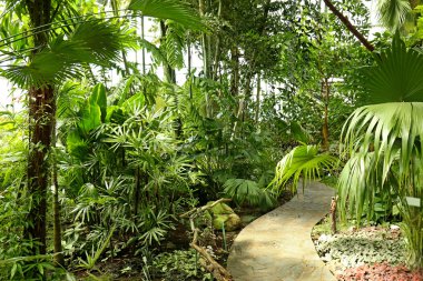 Botanik Bahçesi içinde yaz