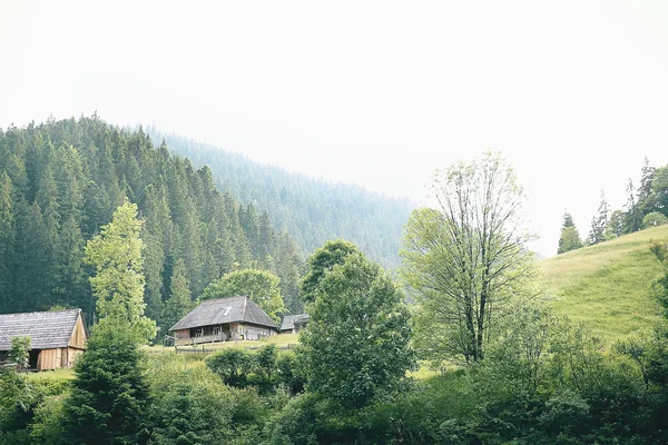 Cárpatos montanhas paisagem — Fotografia de Stock