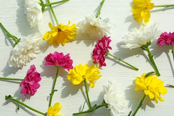 Όμορφα φρέσκα λουλούδια — Φωτογραφία Αρχείου