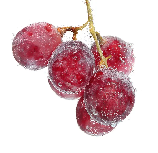 Fresh grapes in a water — Stock Photo, Image