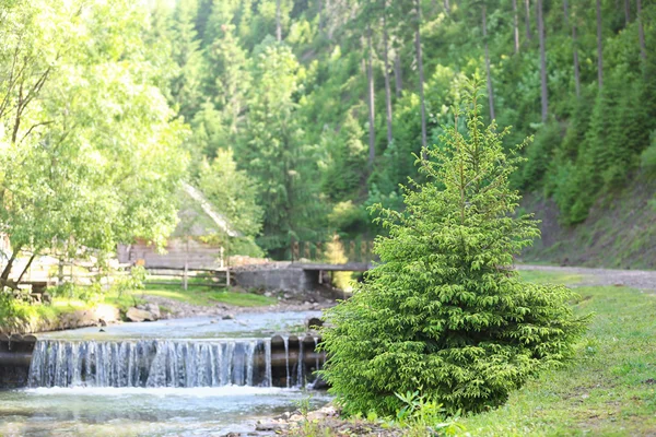 Mountains and river in summer — Stock Photo, Image