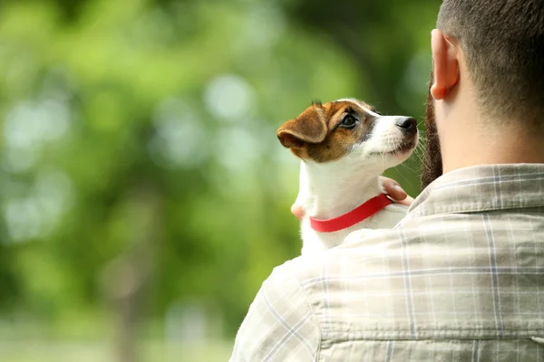 Man med hund i park — Stockfoto