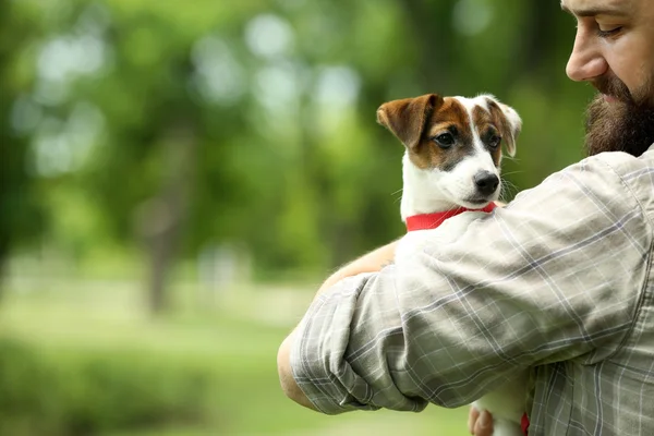 Man met hond in park — Stockfoto