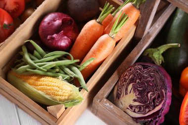 Taze sebze kutuları