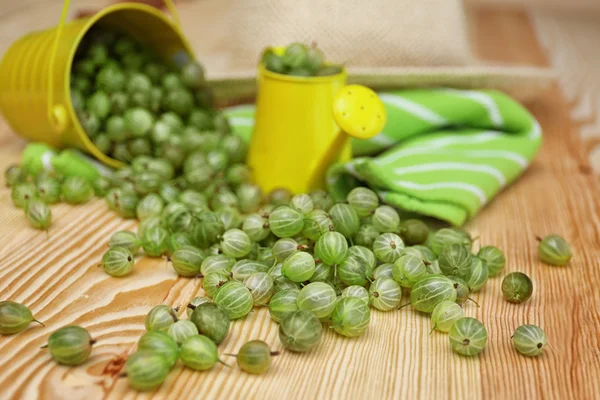 Frische reife Stachelbeeren — Stockfoto