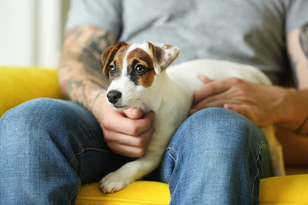 Man bedrijf hond — Stockfoto