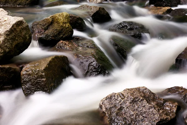 Creek com rochas na floresta — Fotografia de Stock