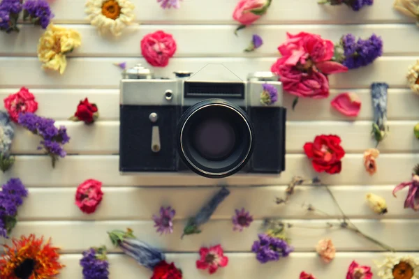 Bela composição da câmera vintage — Fotografia de Stock