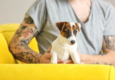 Sarı koltukta sevimli köpeği olan bir adam.