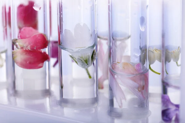 Process of making perfumes — Stock Photo, Image