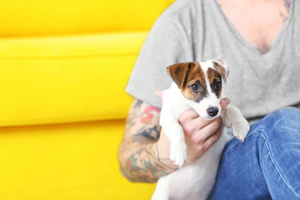 Uomo con simpatico cane su divano giallo — Foto Stock