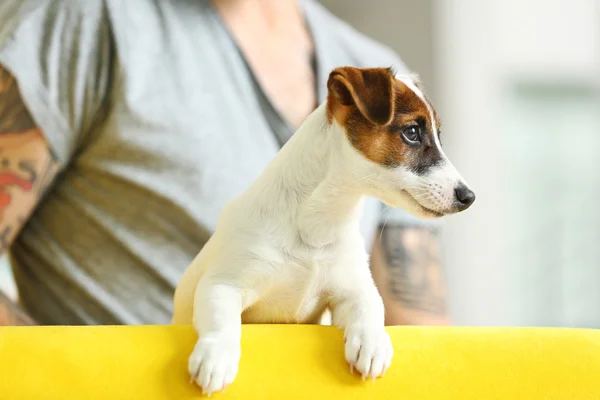 Homme avec chien mignon sur canapé jaune — Photo
