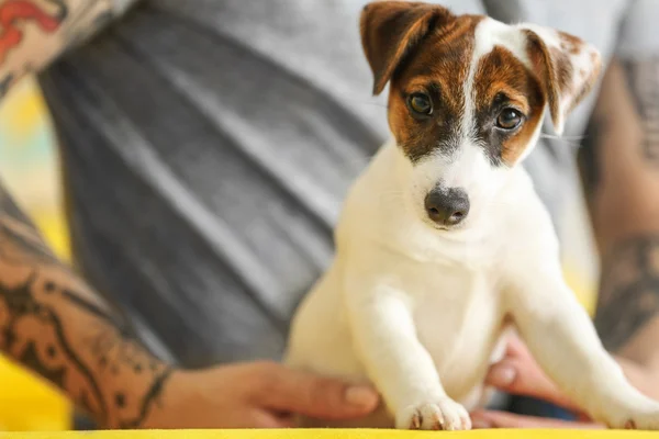 Muž s roztomilým psem na žlutém gauči — Stock fotografie