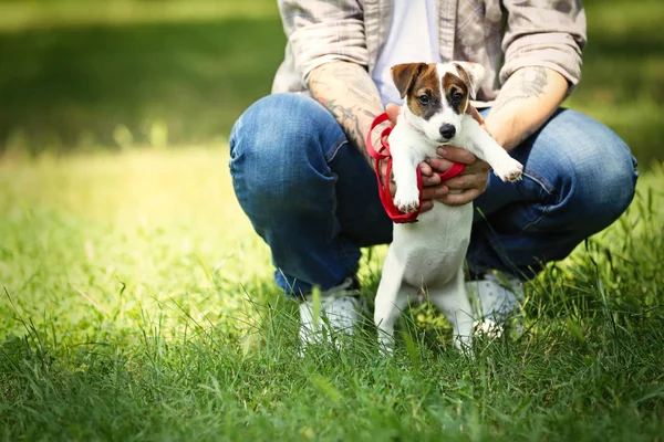 Mann mit süßem Hund im Frühlingspark — Stockfoto