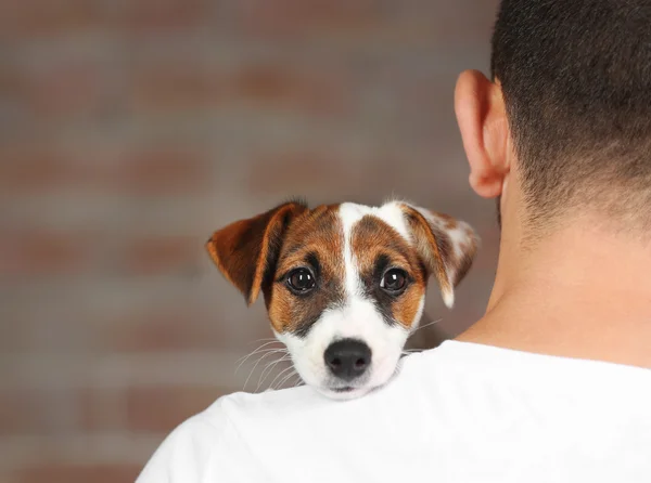 Man holding cute dog on brick wall background — Stock Photo, Image