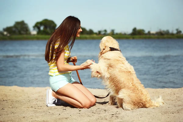 Chica con lindo retriever —  Fotos de Stock