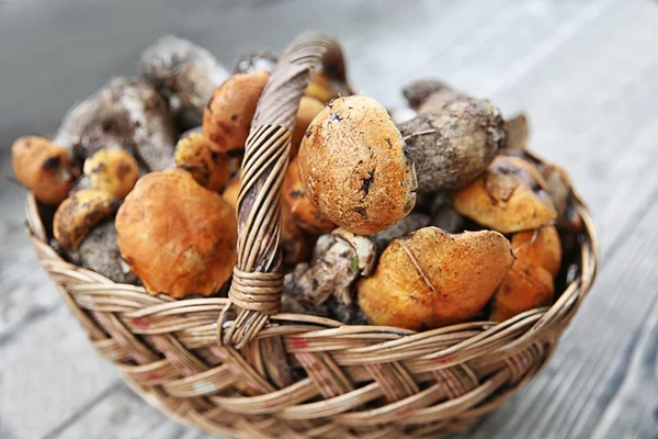 用新鲜的香菇，特写的篮子 — 图库照片