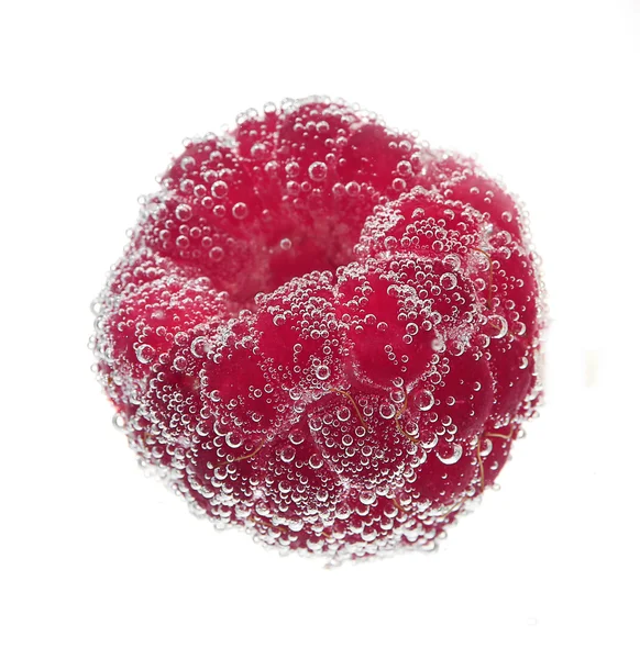 Framboise dans une eau sur fond blanc — Photo