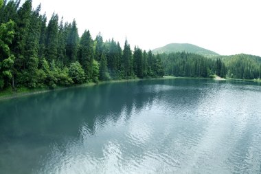 Dağları olan güzel bir manzara 