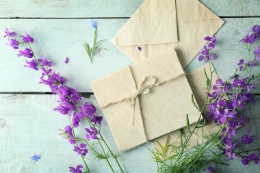 Kağıt Zarflar ve delphinium çiçekler 