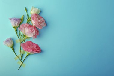 pembe eustoma çiçek kompozisyon