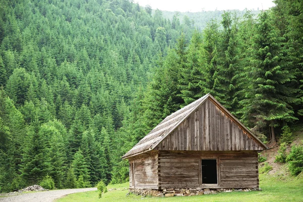 Dřevěný dům v horském lese — Stock fotografie